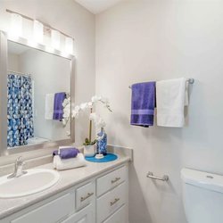 bathroom at Park at Arlington located in Covington, GA