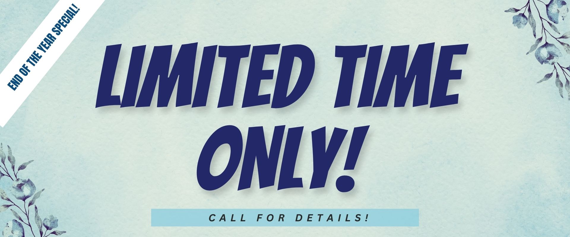 End of the Year Special! Limited time only! Call for Details!