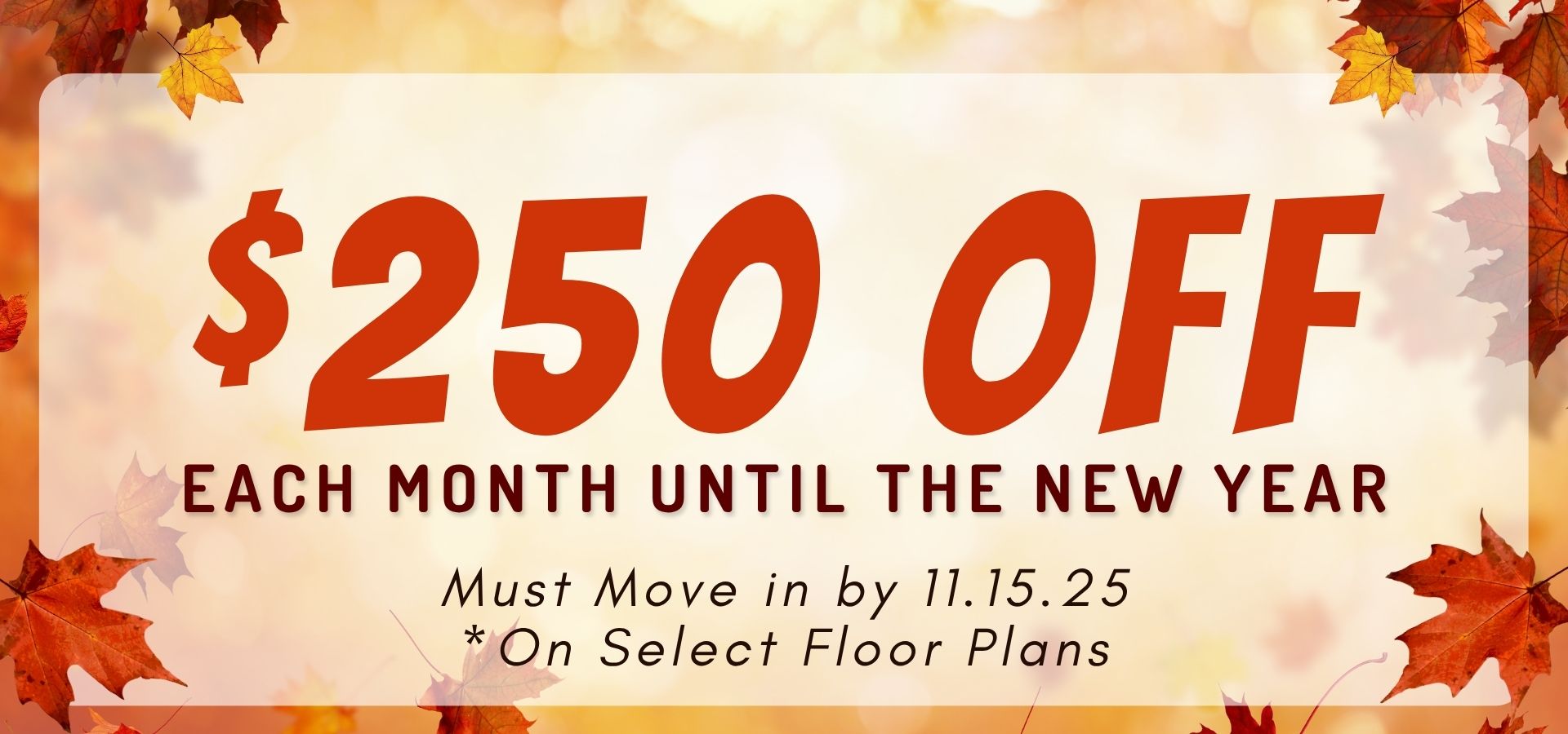 $250 off each month until the new year. Must move by 10/31.